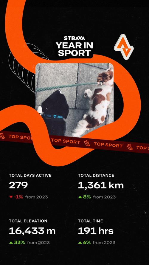 Strava Year In Sport